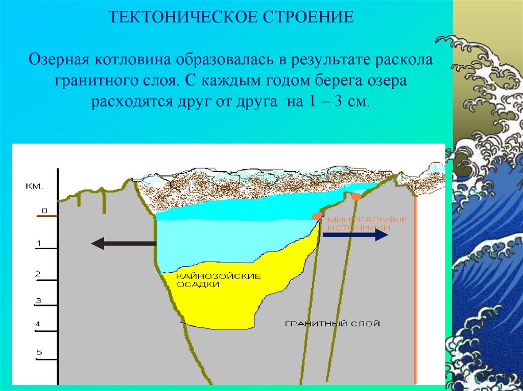 Озер имеет котловину тектонического происхождения. Происхождение котловины озера Байкал. Происхождение Озерной котловины озера Байкал. Строение дна озера Байкал. Происхождение Озёрной котловины Байкала.