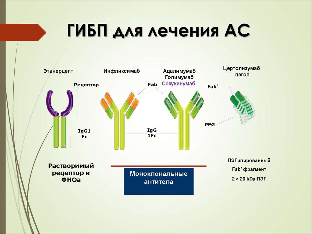 Генно-инженерные биологические препараты. Генно-Инженерная биологическая терапия. Fab и FC ФРАГМЕНТЫ антител. Генно-инженерные биологические препараты в ревматологии.