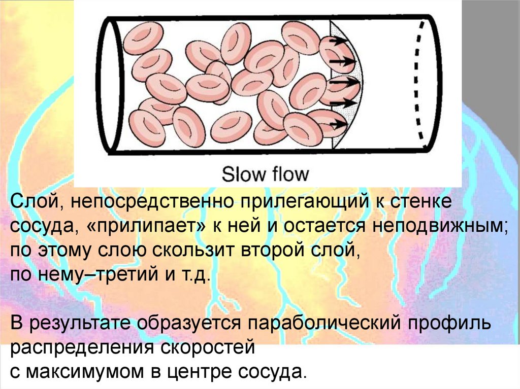 Монтажные метки риски фиксирующие в плане главные оси сосуда