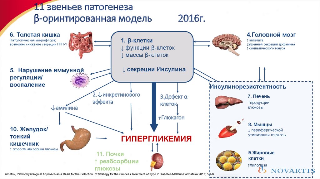 Сахарный диабет этиология патогенез диагностика