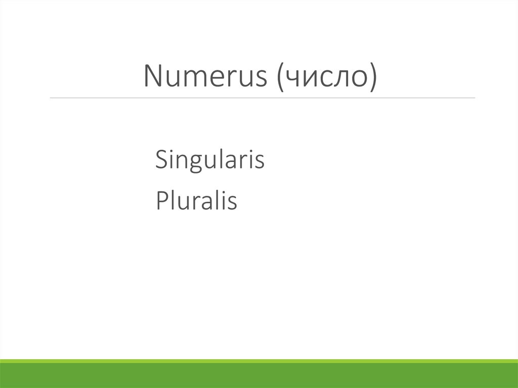 Numerus (число)