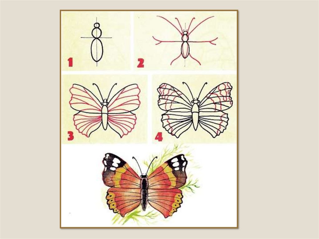 Презентация по изо 2 класс рисуем бабочку