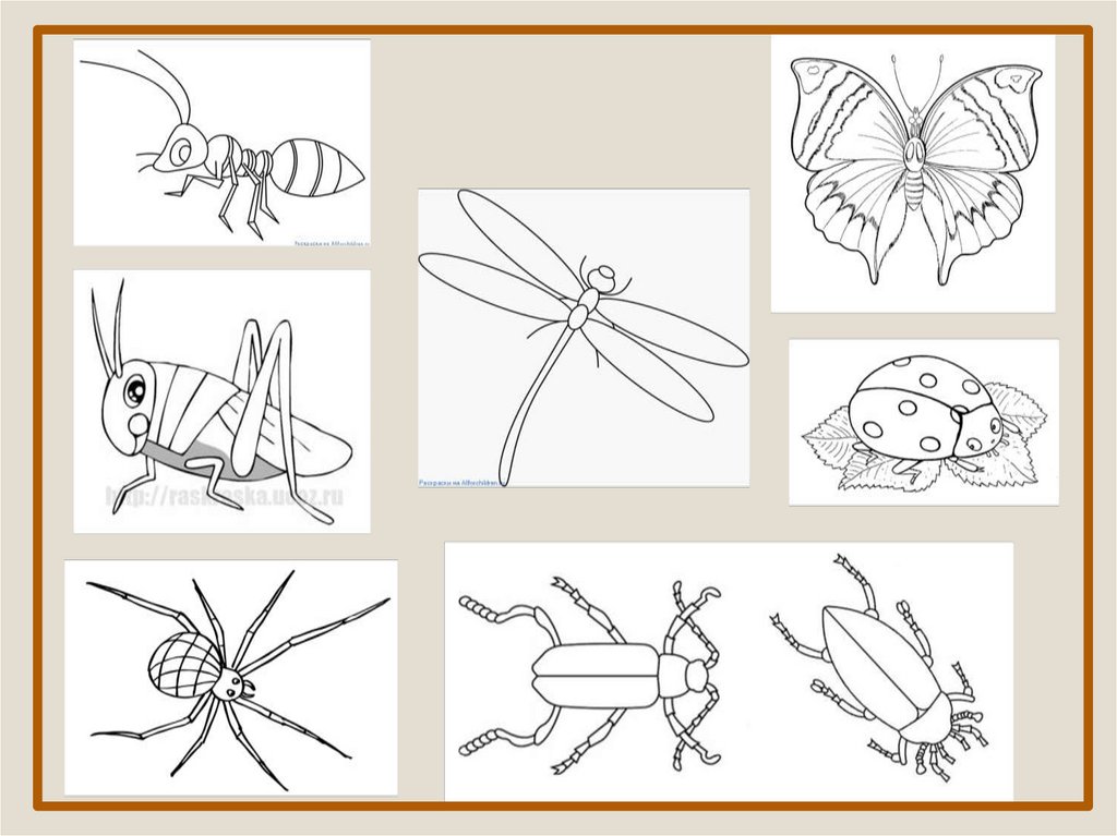 Насекомые учимся рисовать