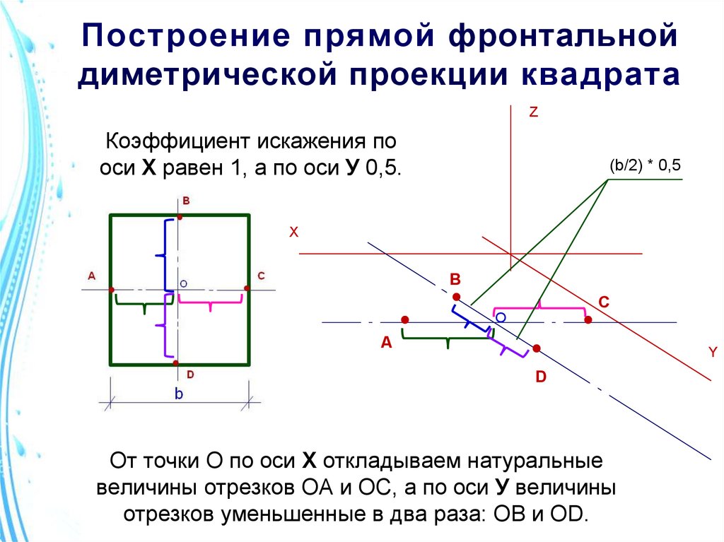 Проекция квадрата