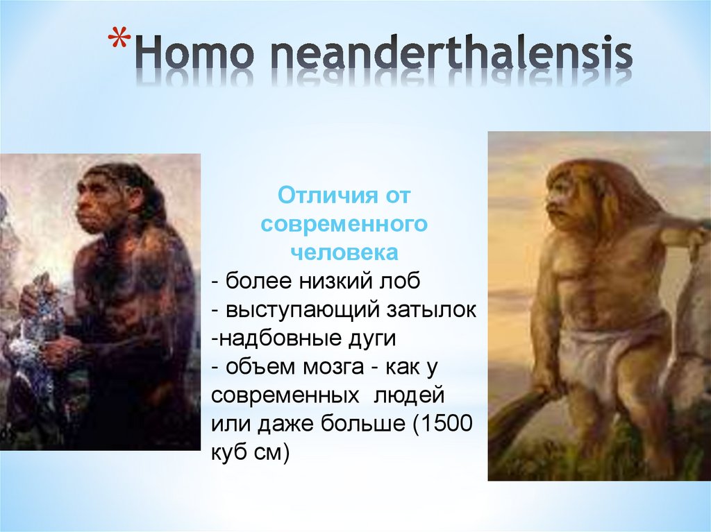 Homo ornat locus non hominem