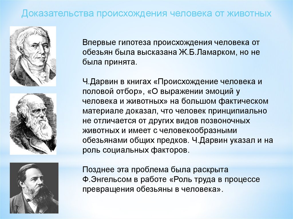 Социальные факторы антропогенеза это. Фамилии ученых которые изучали Антропогенез. Аристотель взгляды на Антропогенез. Стадиальная концепция антропогенеза предполагает. Роль Энгельса в изучении антропогенеза.