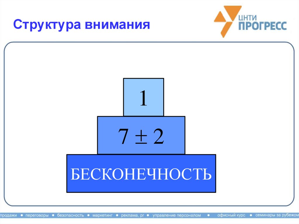 Структура внимания