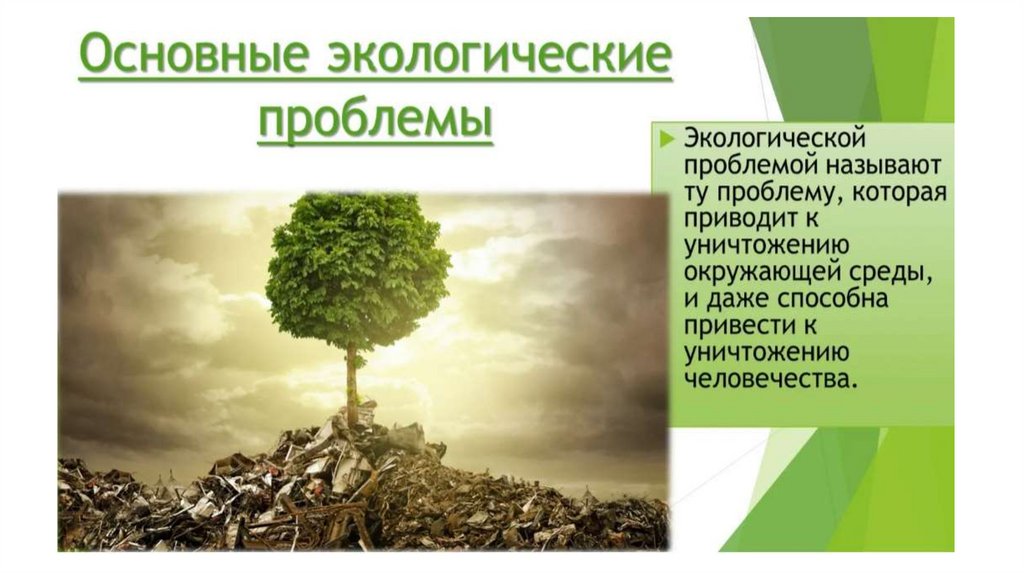 Экологические проблемы мира проект Презентация к уроку окружающего мира в 4 классе "Лес и человек" УМК "Школа Росси