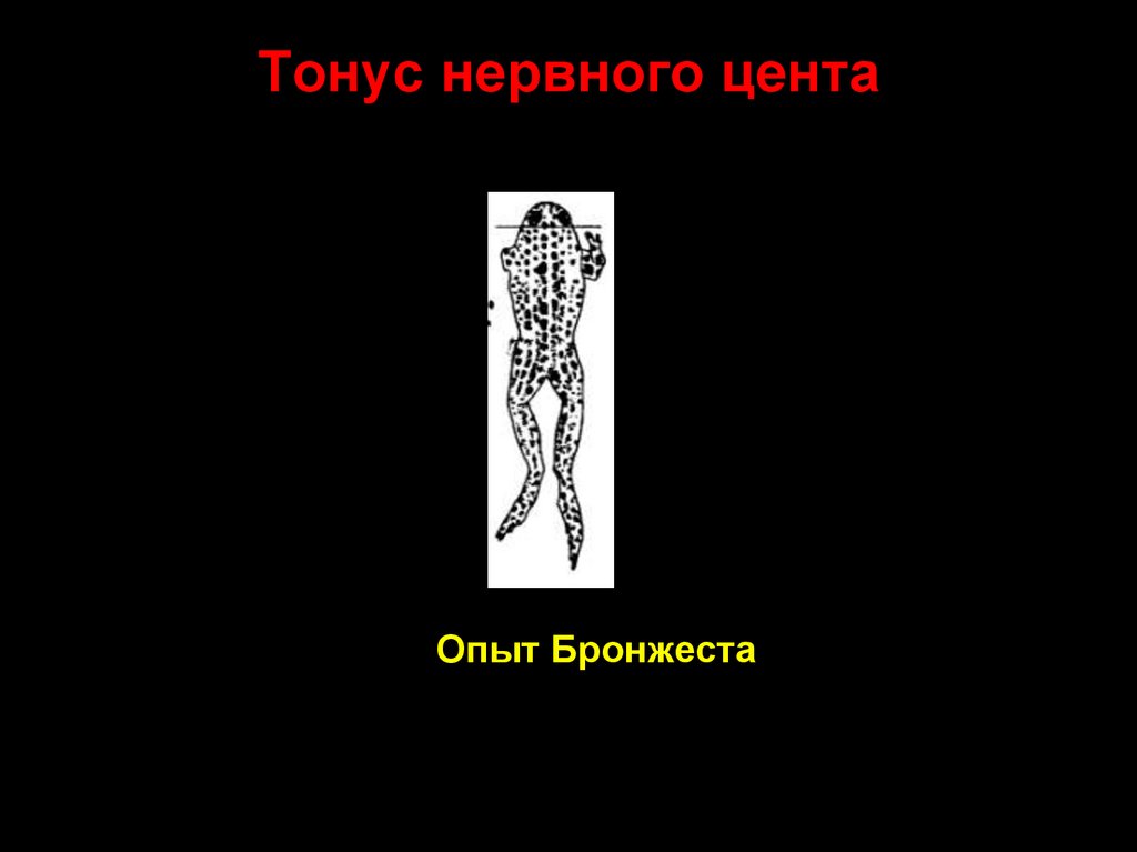 Повышенный тонус нервной системы. Гомосинаптическая и гетеросинаптическая модуляция. Тонус нервных центров.