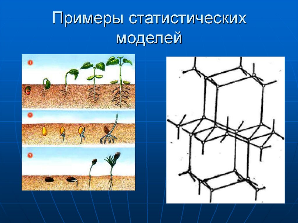 Динамические модели картинки