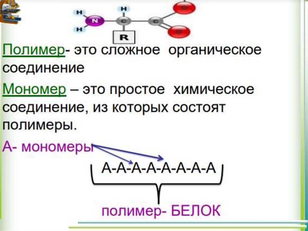 Вещества мономеры. Мономер и полимер отличаются друг от друга. Что такое мономеры полимеры гетерополимеры. Полимеры и мономеры это в биологии. Схема строения мономеров и полимеров.