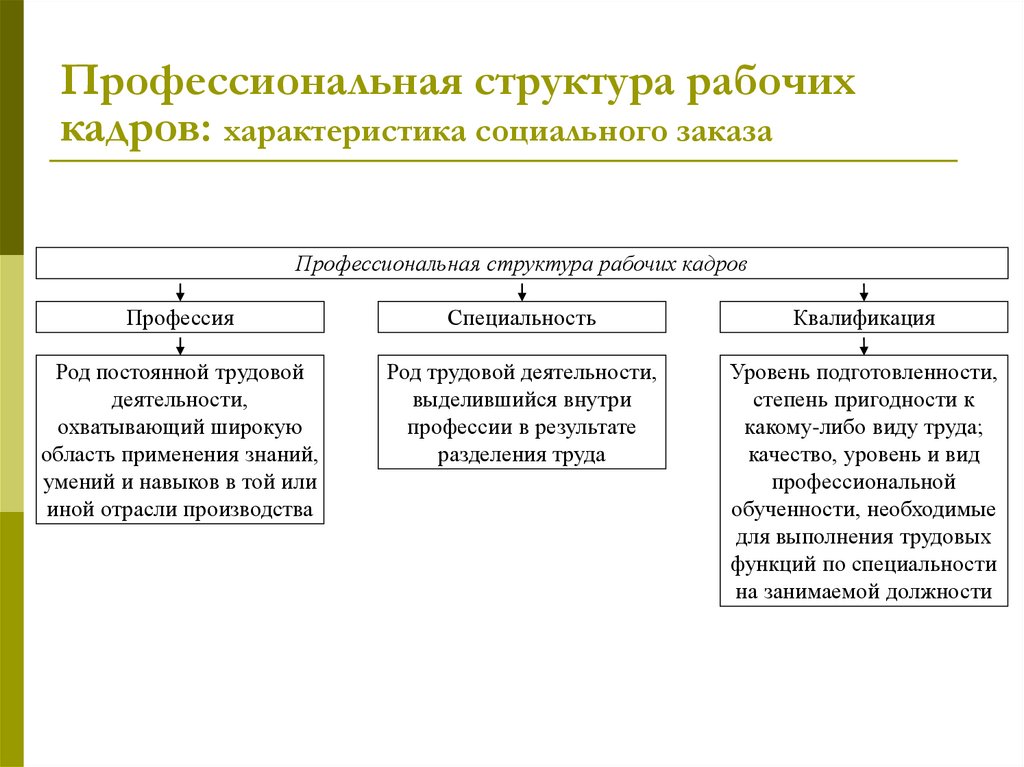 Профессиональная структура