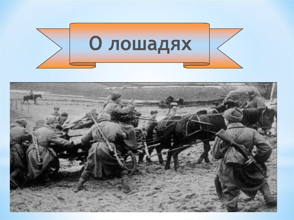 Животные в годы вов презентация