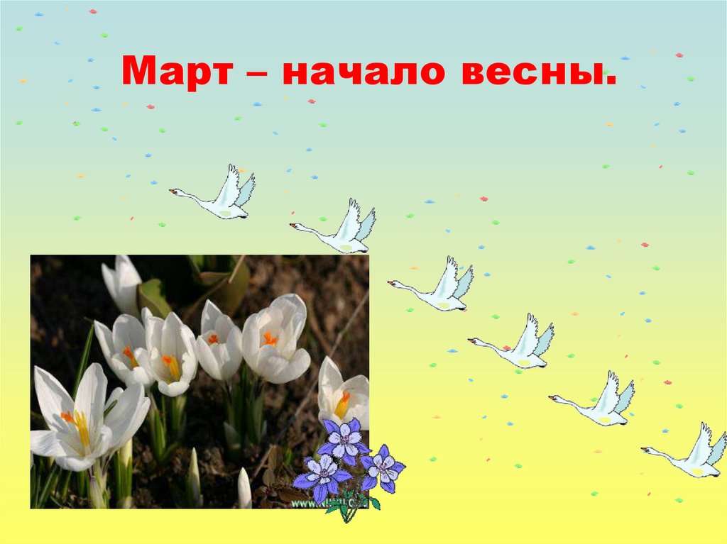 Проект на spring