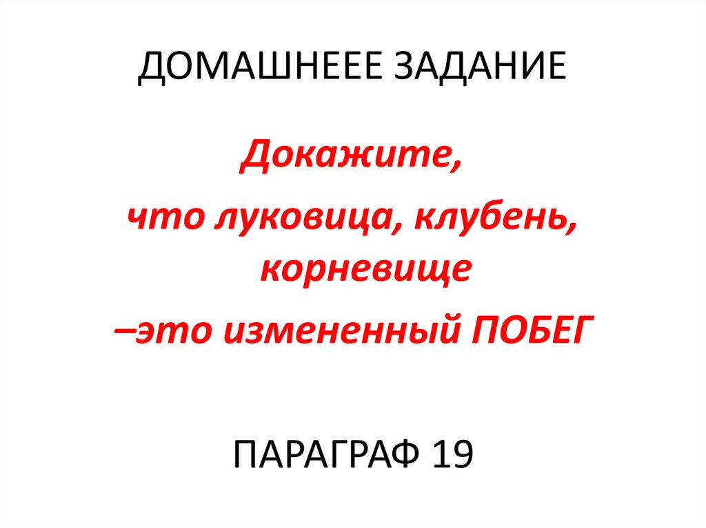 ДОМАШНЕЕЕ ЗАДАНИЕ