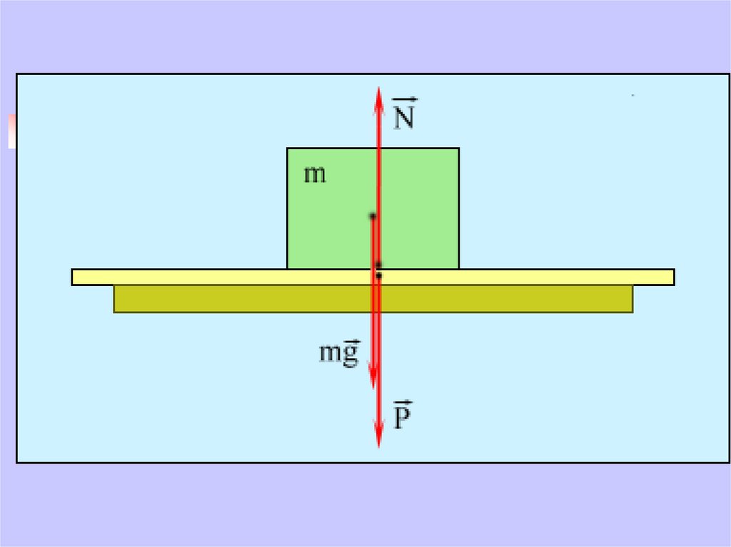 Брусок к которому приложена. Сила тяжести вес реакция опоры. Сила реакции горизонтальной опоры. Вес тела и сила реакции опоры. Сила тяжести сила реакции опоры вес тела.