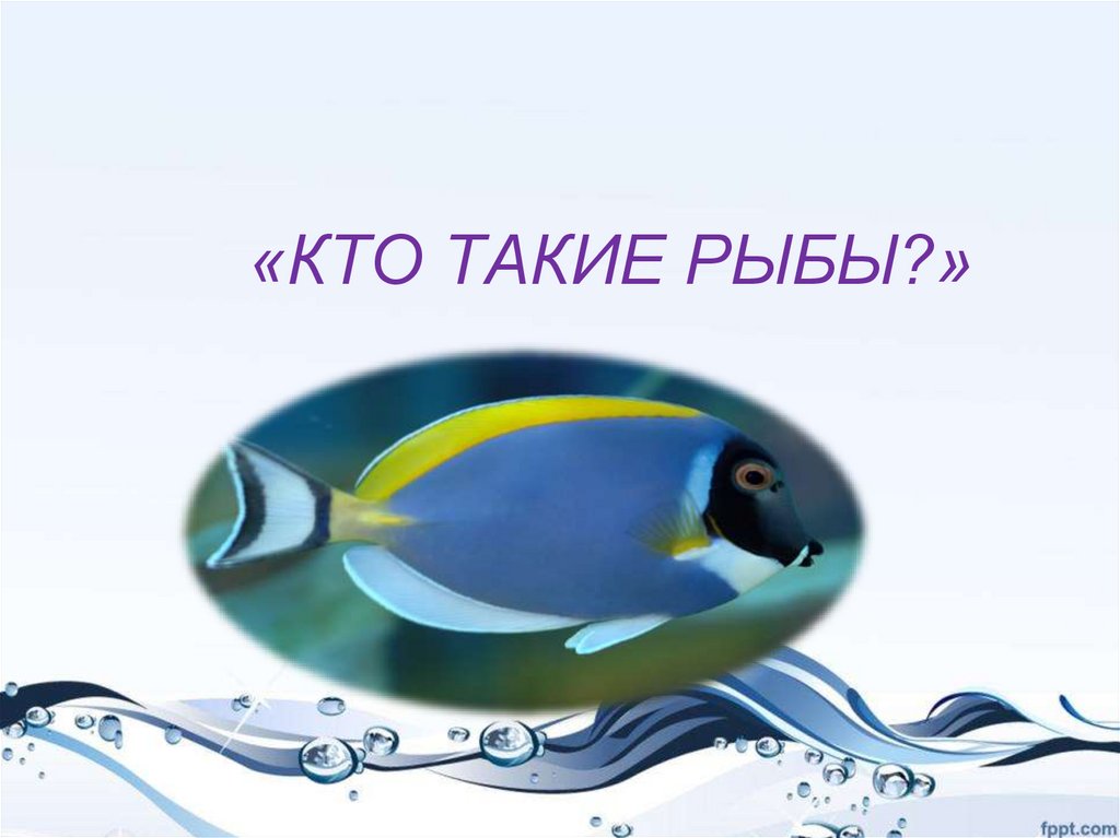 Презентация 1 кл кто такие рыбы