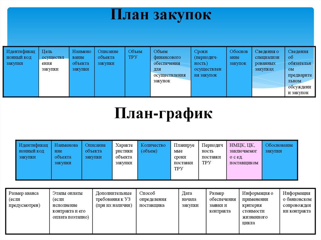 На какой срок заказчиками формируется план график закупок