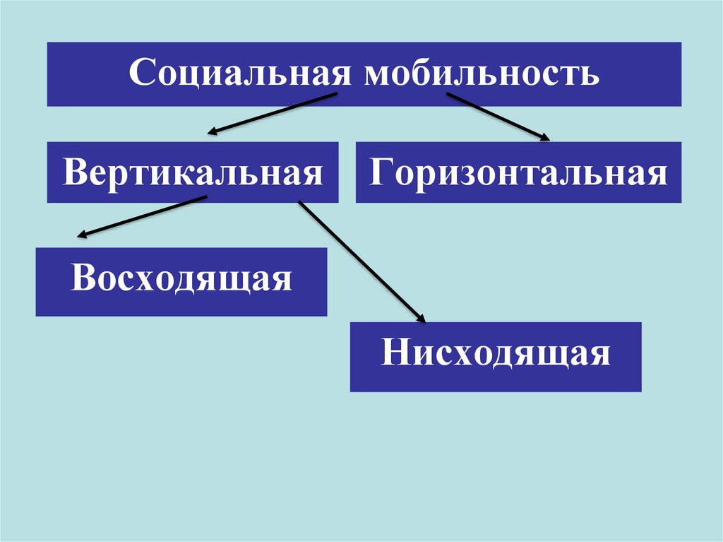 Социальной мобильности семьи. Социальная структура общества горизонтальная и вертикальная. Горизонтальная структура общества. Социальная структура общества 8 класс презентация.