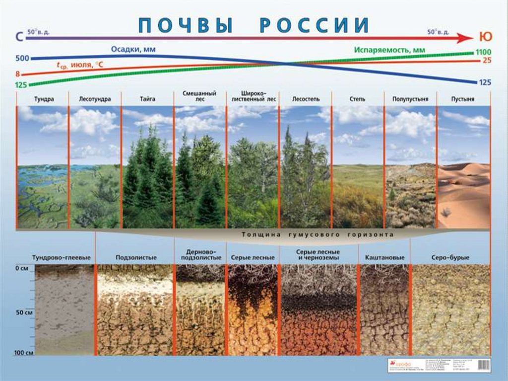 Факторы образования природно хозяйственных зон на равнинах. Дерново-подзолистые почвы на карте. Типы почв распространенные в России. Основание типы почв. Типы почв в России подзолистые.