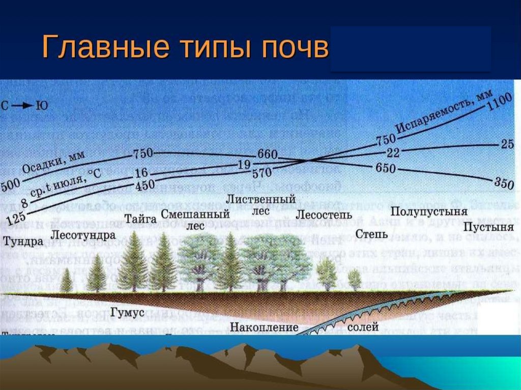Почва презентация 6 класс география полярная звезда. Взаимосвязь почв растительности и климата. Типы почв с климатом и растительностью. Взаимосвязь типов почв и растительности. Взаимосвязь типов почв.