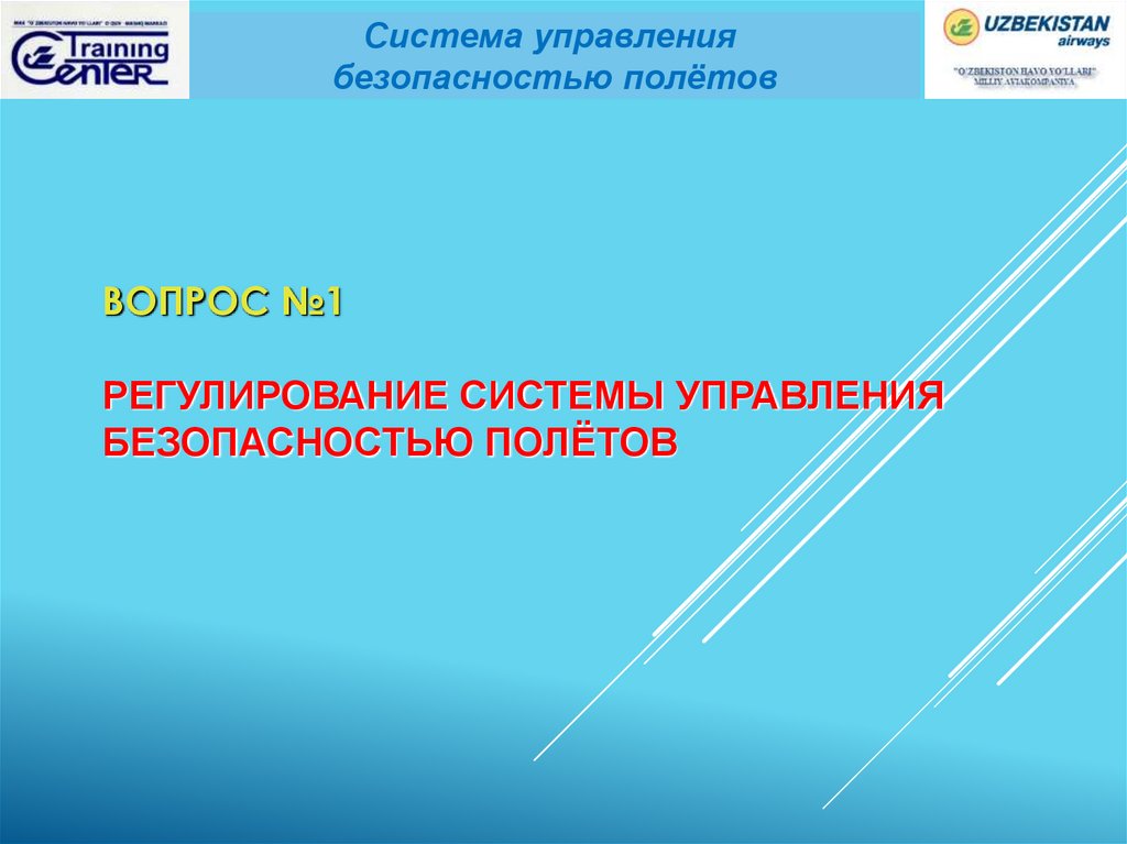 Региональная система управления безопасностью. Система управления безопасностью полетов. Безопасность полетов. Политика безопасности полетов.