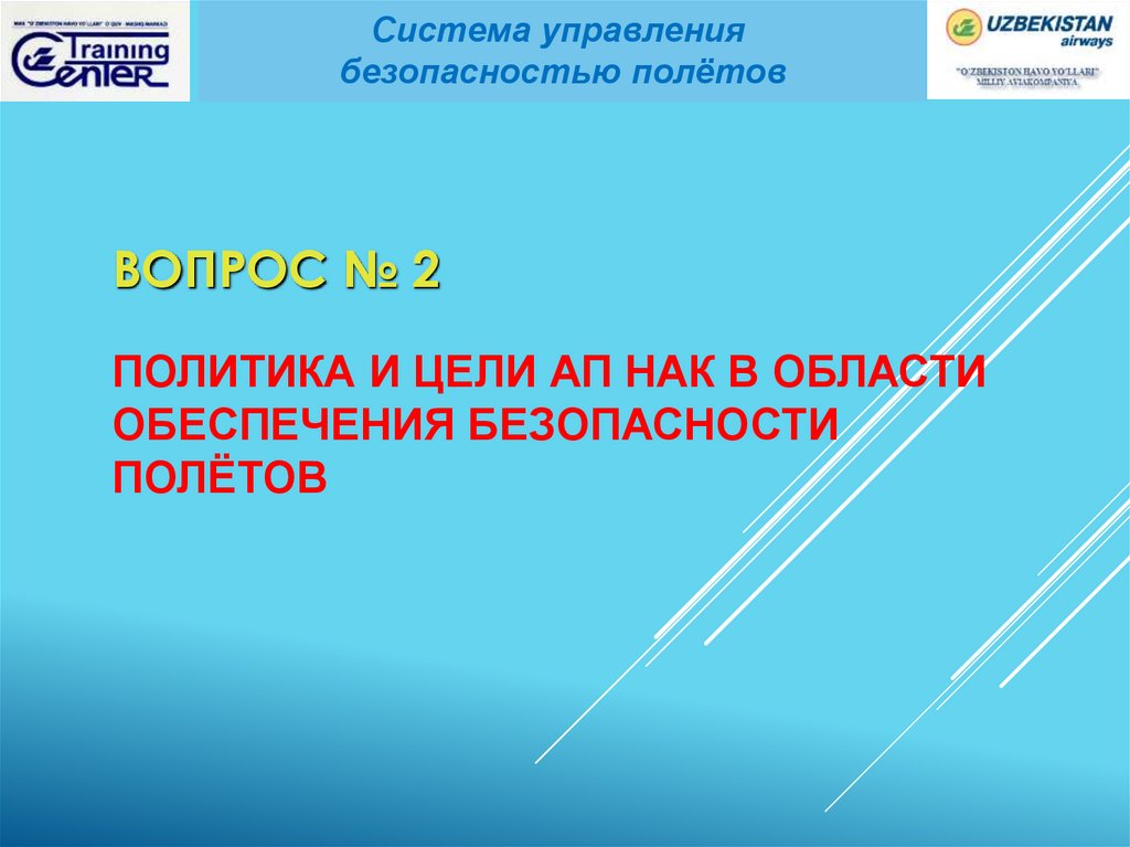 Работа по безопасности полетов. Политика безопасности полетов. Система управления безопасностью полетов. Обучение безопасности полетов. Формула безопасности полетов.