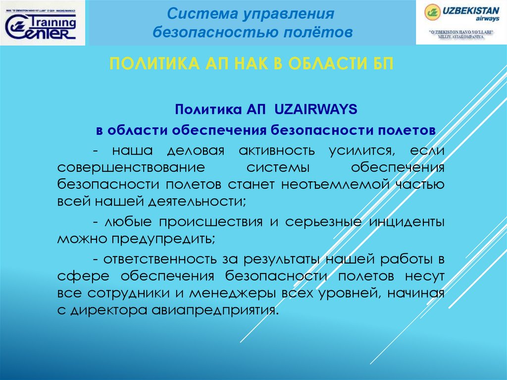 Работа по безопасности полетов. Управление безопасностью полетов.