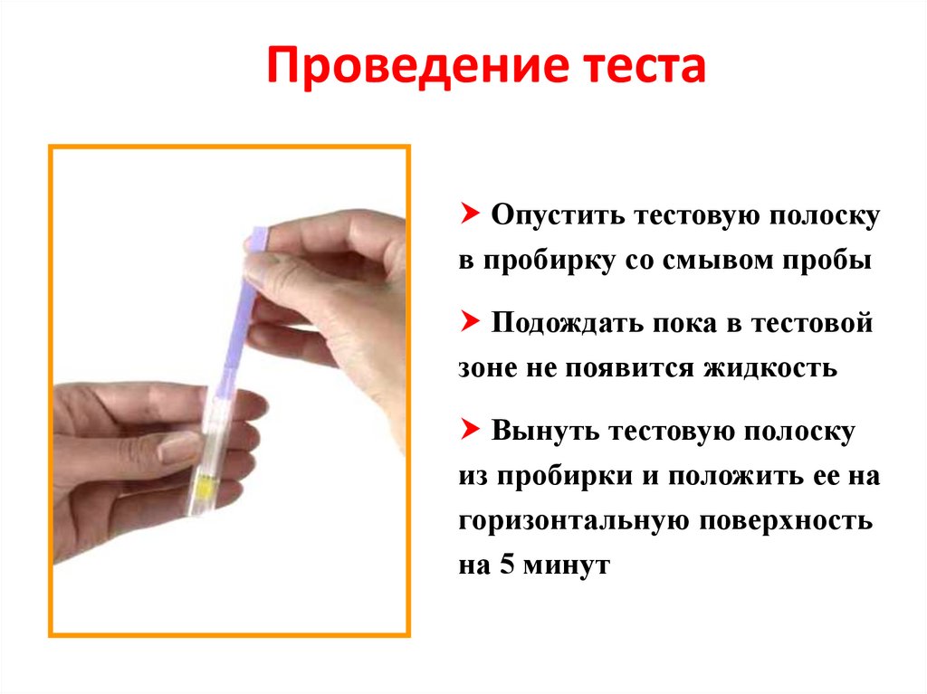 Экспертизу проводит тест. Проведение теста. Выполнение теста. Проведение теста ТСКР.