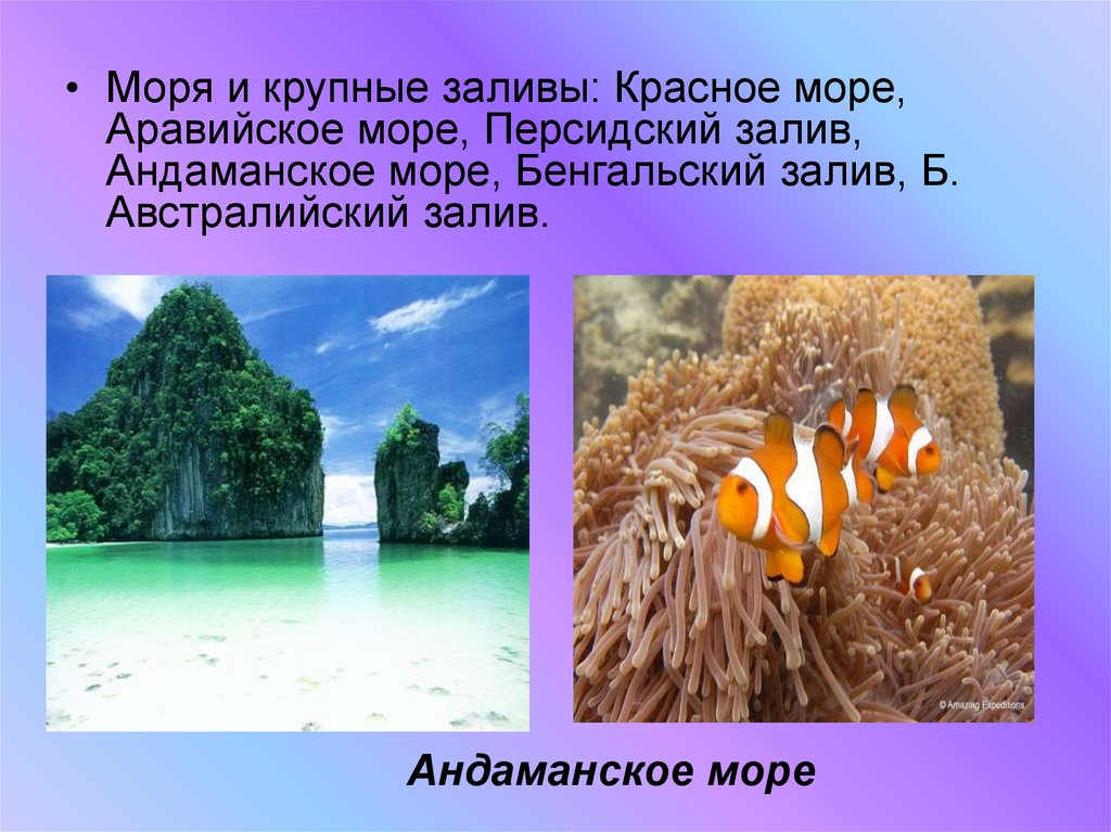 Описание индийского океана. Индийский океан Аравийское и Андаманское море?. Индийский океан презентация. Индийский океан интересные факты. Визитная карточка индийского океана.