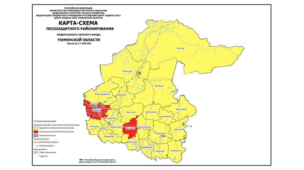 Карта лесного фонда тюменской области