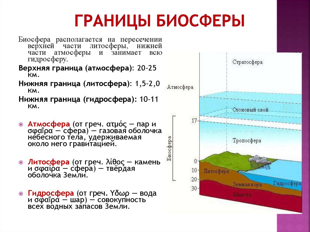 Верхняя граница биосферы располагается на высоте. Слои земли Биосфера. Границы биосферы земли схема.