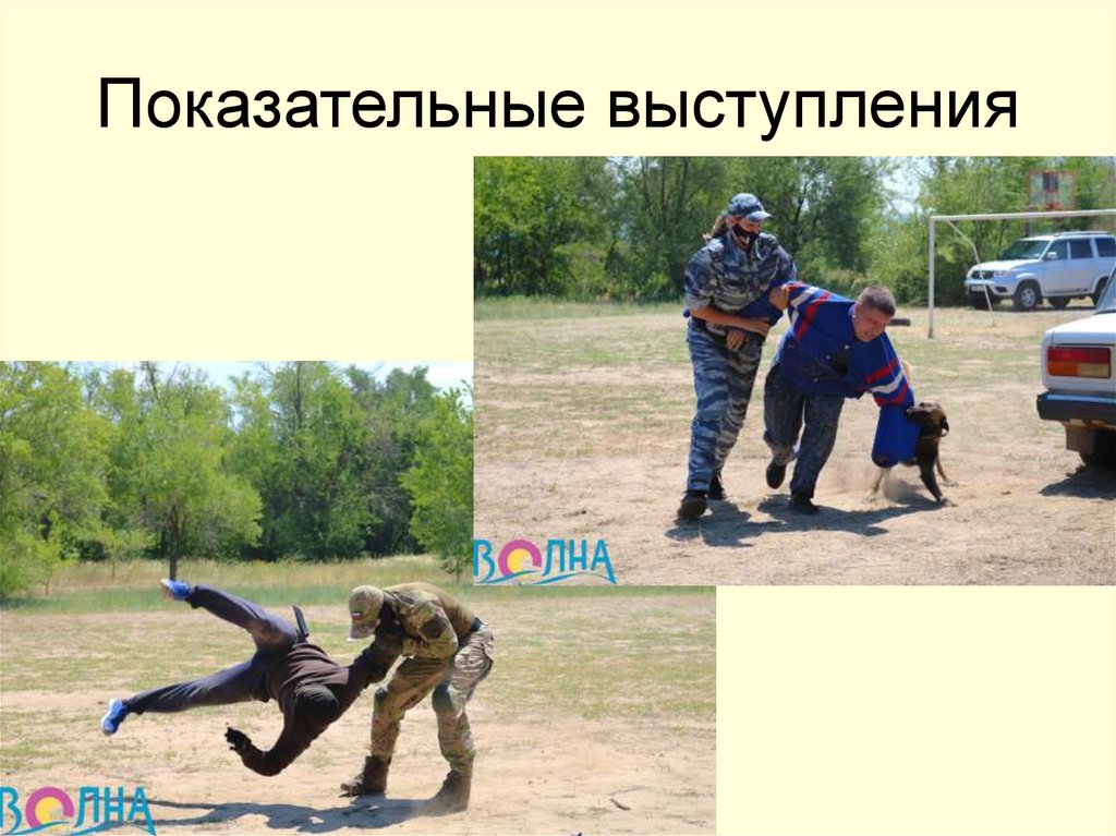 Показательные выступления