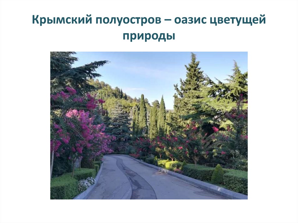 Виртуальное путешествие по Крыму - презентация онлайн