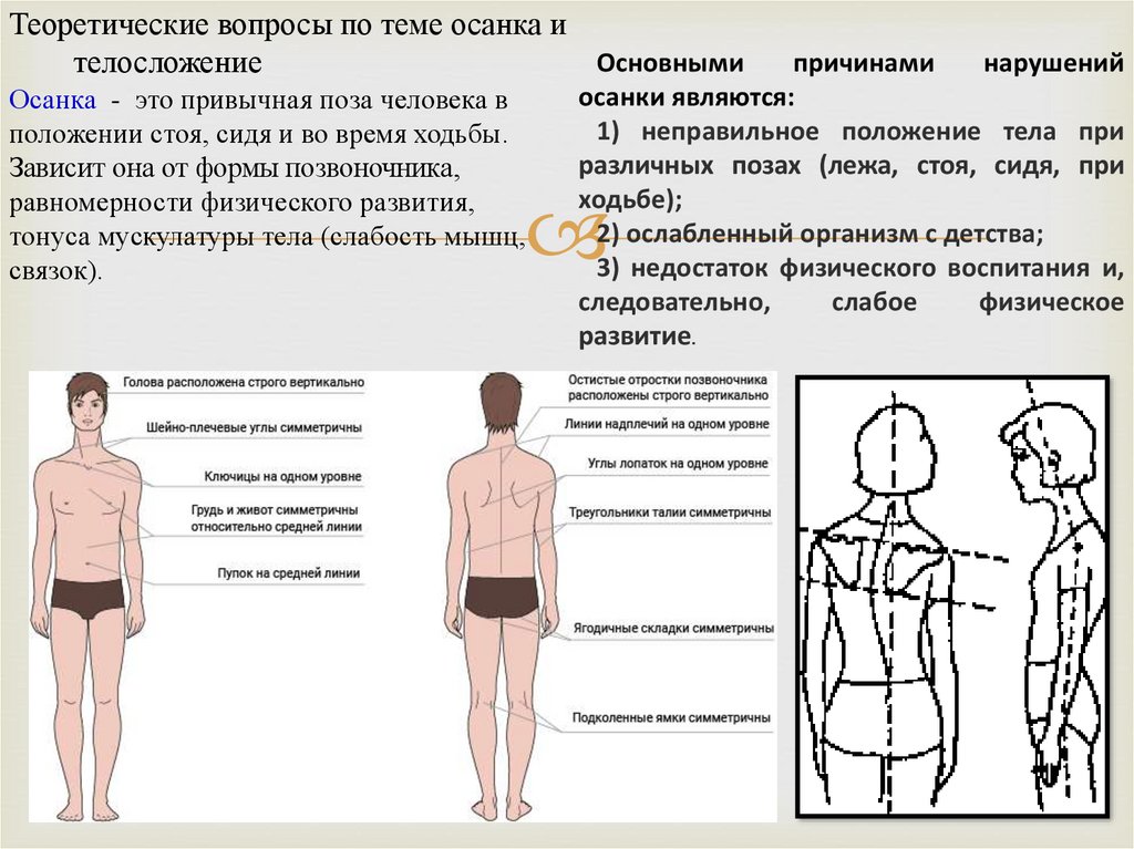 Стоящее положение. Осанка это привычная поза человека стоя. Осанка в положении стоя. Форма спины. Осанка при ходьбе в положении сидя и стоя.