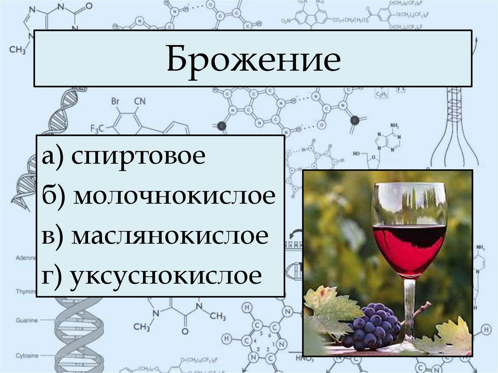 Химические свойства Глюкозы брожение. Брожение красного вина. Виды брожения Глюкозы. Химические свойства Глюкозы 10 класс.