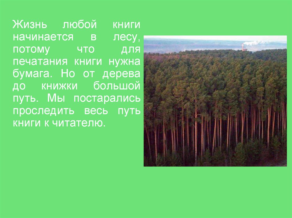 Презентации откуда. Жизнь любой книги начинается в лесу. Жизнь книги начинается в лесу. Откуда пришла книга. Откуда пришла книга презентация.