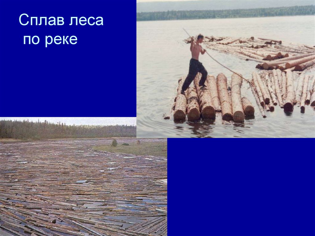 Сплав леса по реке