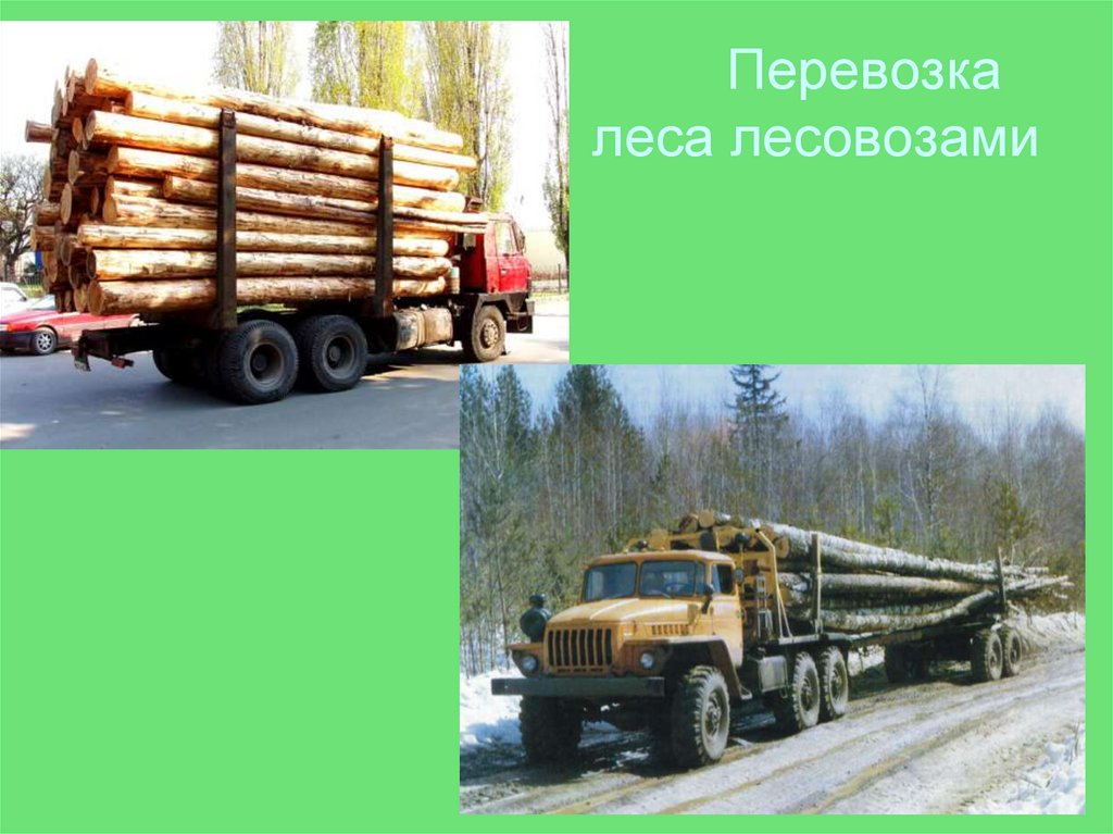 Перевозка леса лесовозами