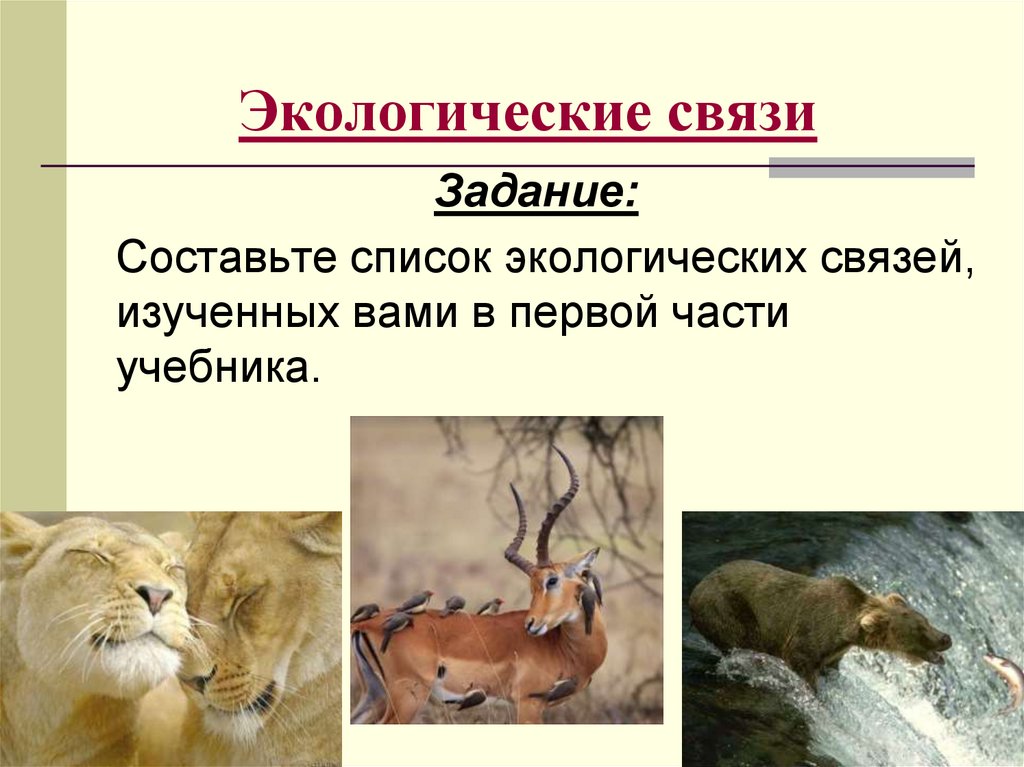 Два примера экологических связей Особенности пищевых и информационных связей человека - презентация онлайн