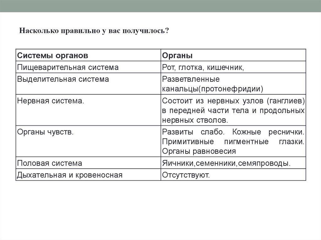 Системы органов белой планарии таблица