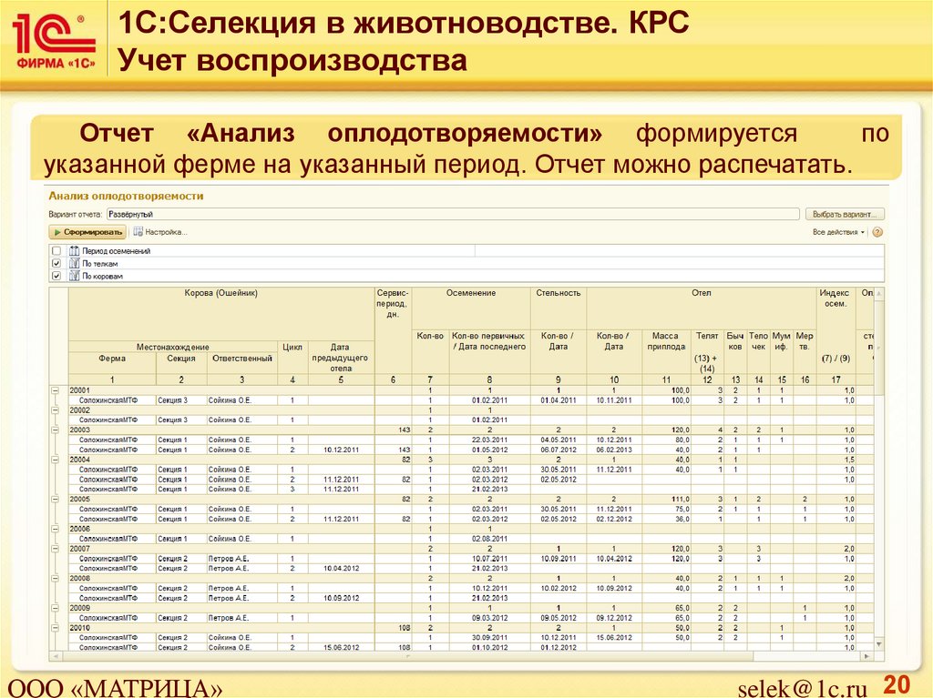 Перевод в основное стадо. Отчетность по животноводству. Учет КРС. Отчет по КРС. Отчетность в животноводстве.