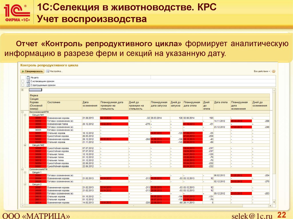 Отчет по мониторингу. Учет КРС. Учет поголовья КРС. Программа 1с для КРС. Отчет по воспроизводству КРС.