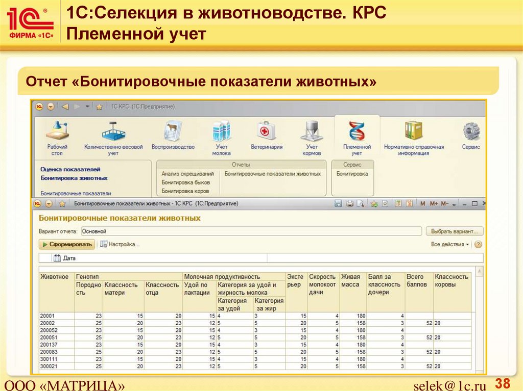 План селекционно племенной работы крс