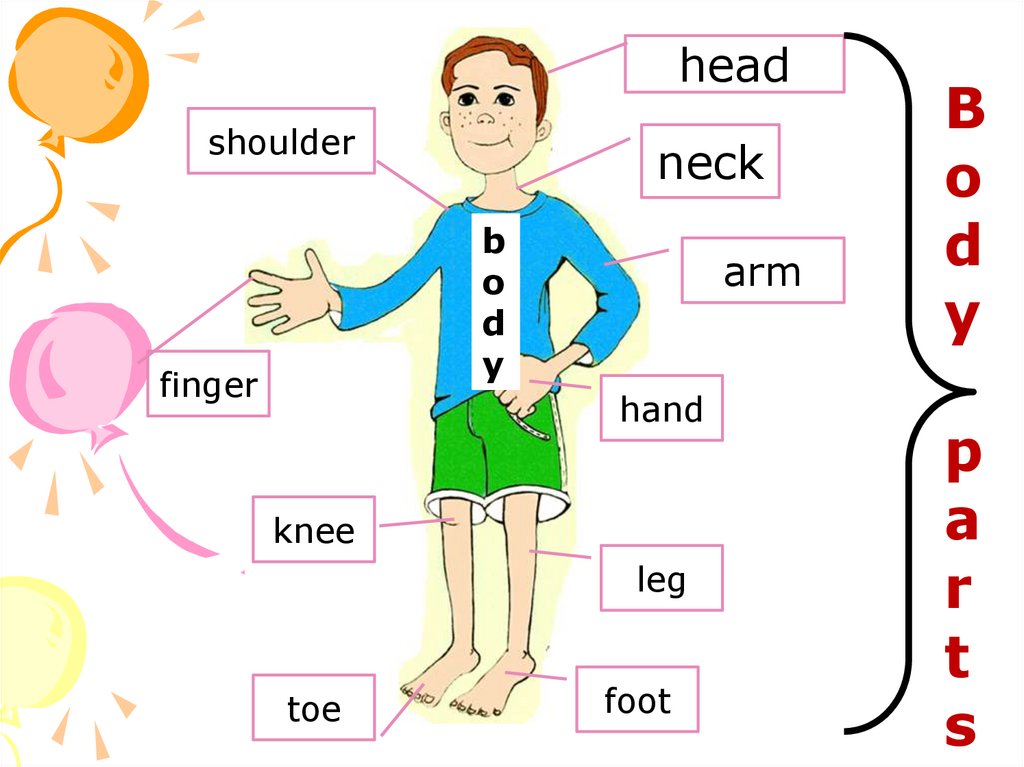 Toes произношение. Части тела на английском. Части тела на английском для детей. Тело человека на английском. Части тела человека на английском.