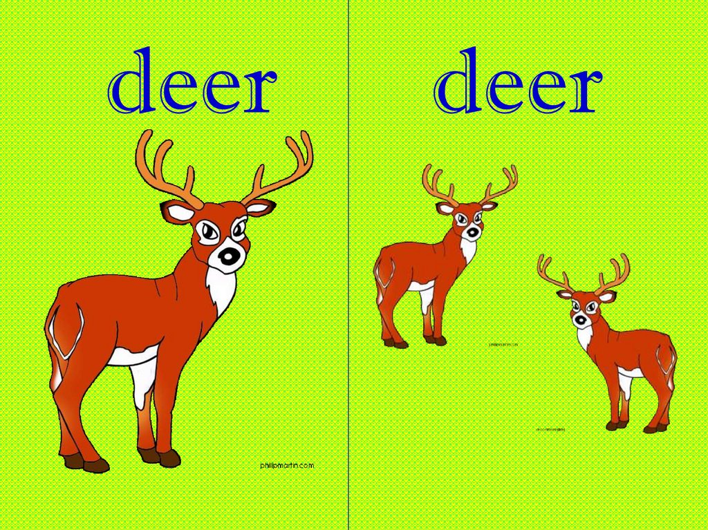 View Plural Of Sheep And Deer Gif
