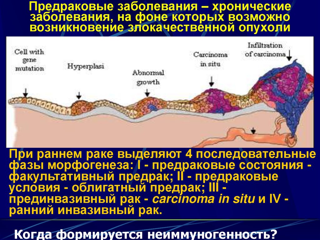 Химические соединения увеличивающие частоту возникновения злокачественных опухолей