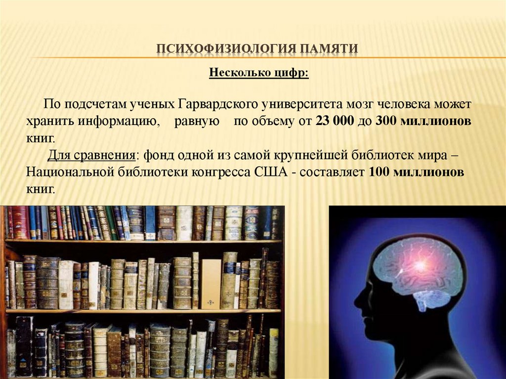 Системная психофизиология. Расчеты ученых. Долговременная память это в психофизиологии. Какую информацию может хранить память человека. Сколько информации может хранить мозг человека.