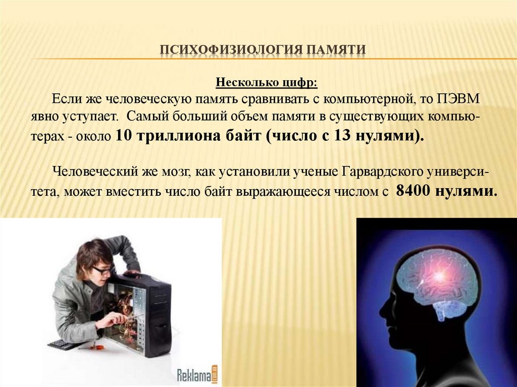 Чем отличается память человека от памяти животного. Психофизиология. Долговременная память человека. Презентация на тему: "кратковременная память у человека.". Психофизиология ученые.