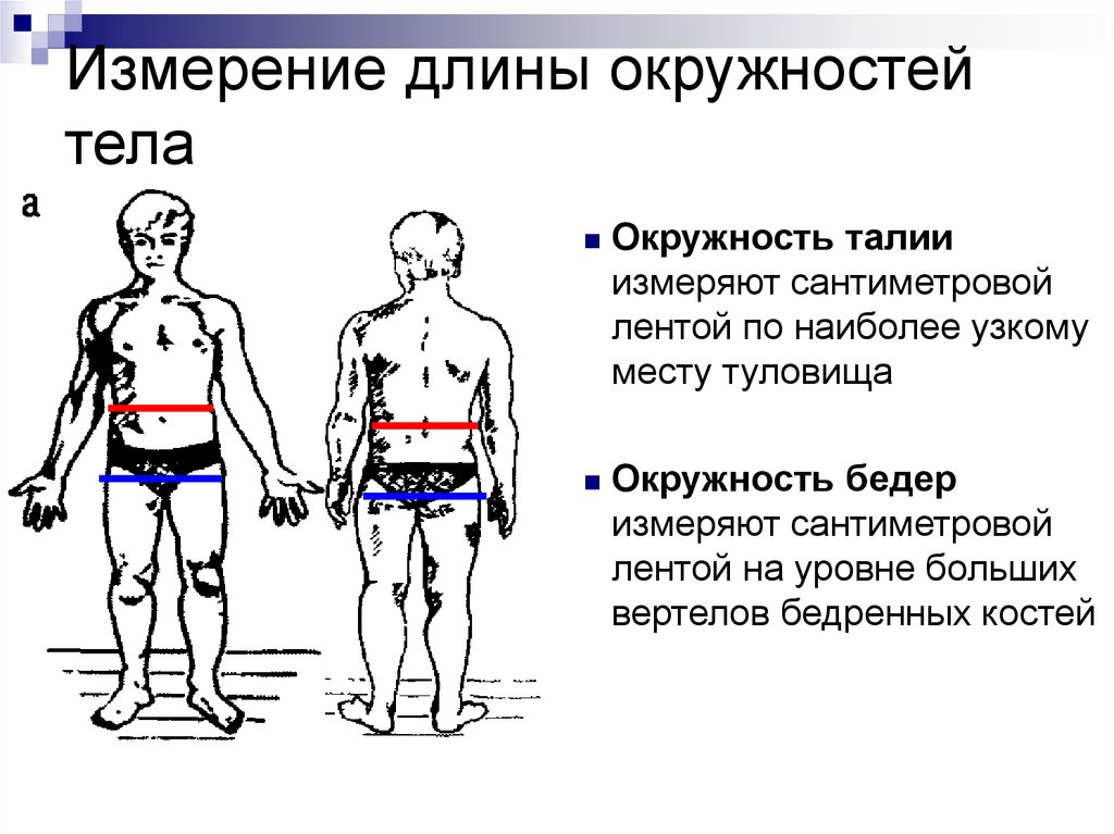 Измерение окружности тела